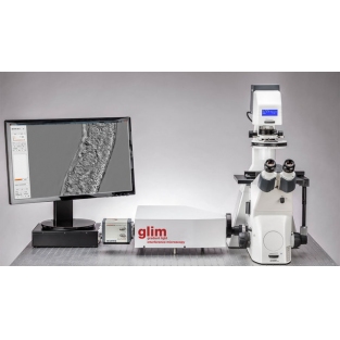 KOSTER & PHIOPTICS厚组织光干涉显微镜